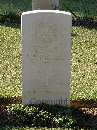 Salonika (Lembet Road) Military Cemetery - Belsey, Harold George